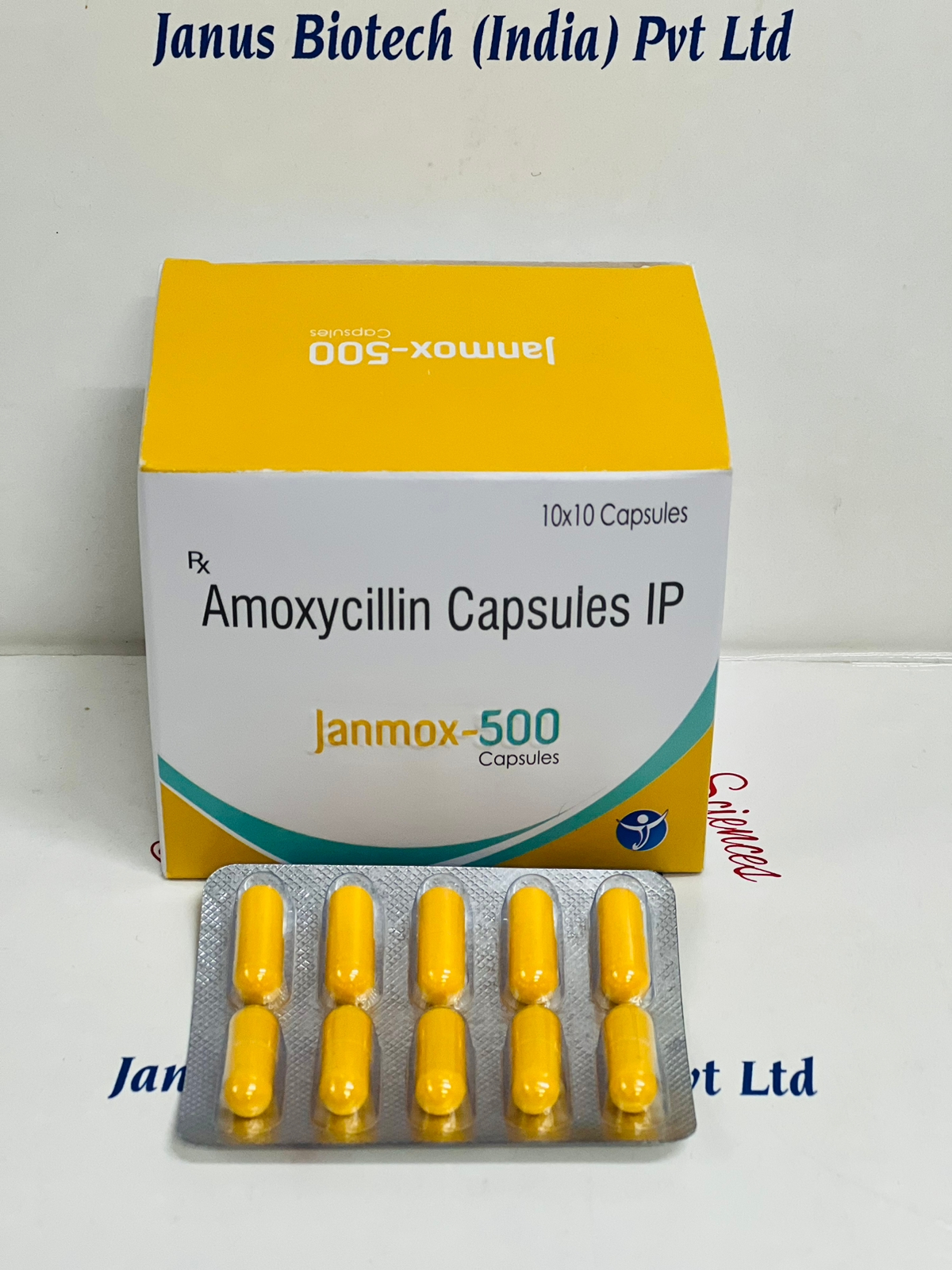 /Amoxycillin 500 mg